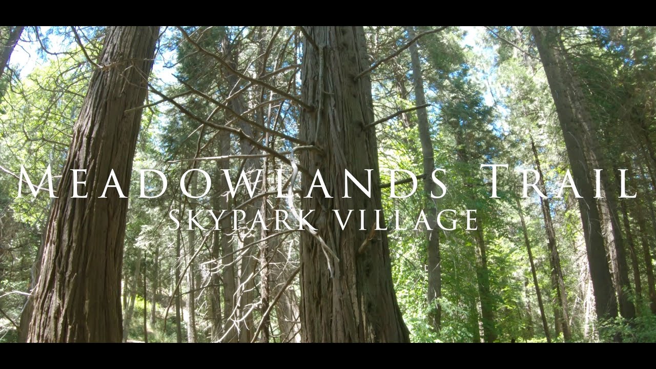 🥾 Hiking Meadowlands Trail at SkyPark Village | Scenic Walkthrough in Lake Arrowhead, CA 🌲🏔️