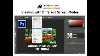 Adobe Photoshop Tutorial - Viewing with Different Screen Modes - Part 5