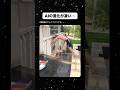 AIの進化が凄い #shorts#tiktok#twitter#おもしろ#お笑い#おすすめ#ai#進化#面白い#おもしろ動画#爆笑#バズれ