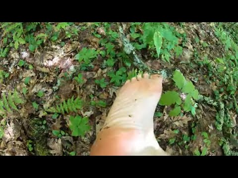 Barefoot Hiking | Off Trail | Wildlife