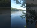 м.Єсеніце, Чехія.  Лебедина сім'я .