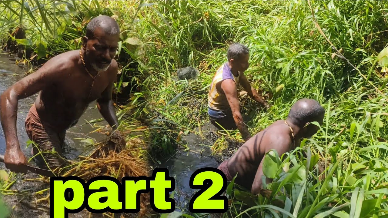 Part 2.കടകൽ കാട് വെട്ടിപോളിച്ചൊരു തനിനാടൻ വരാൽ വേട്ട🐠|traditionalfihing|nadanfishing|villagefishing|