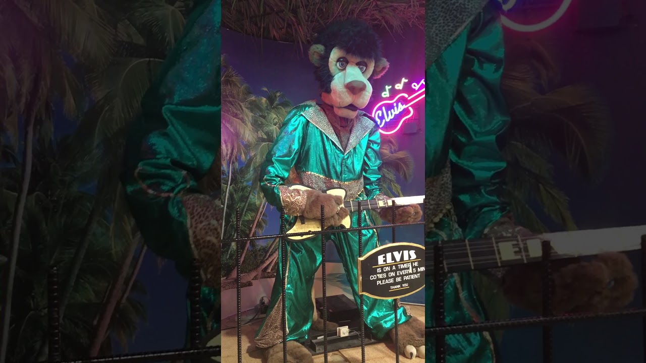 Candy Elvis at Jungle Jims