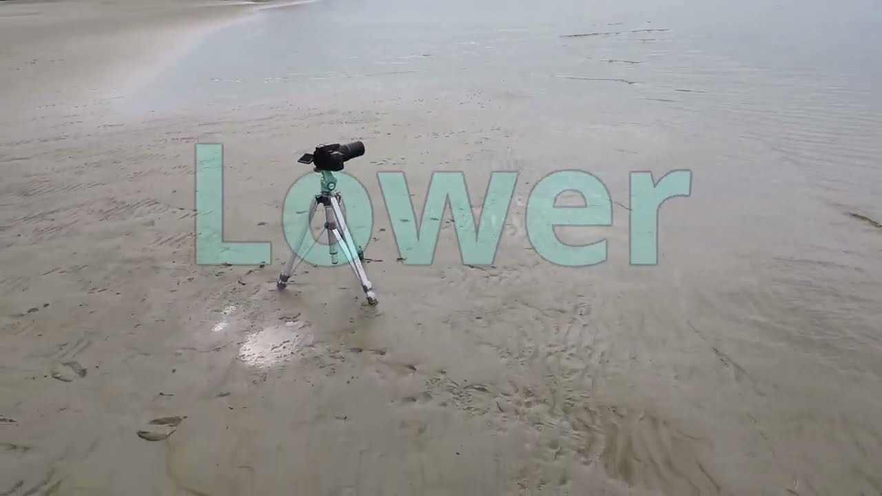 No Trees on Ball Earth - Earth curvature test