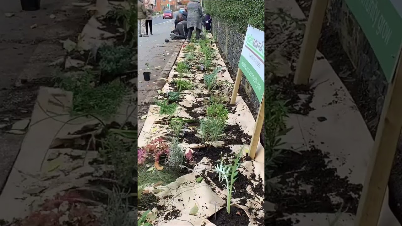 No green thumb? No problem.⁠