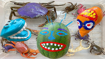 Kem Ốc Chanel bắt quái vật ăn con cua, con vịt, con bò, con cá. Làm nước ép dưa hấu cho các con vật.