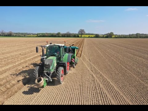 🥔Plantation de pomme
