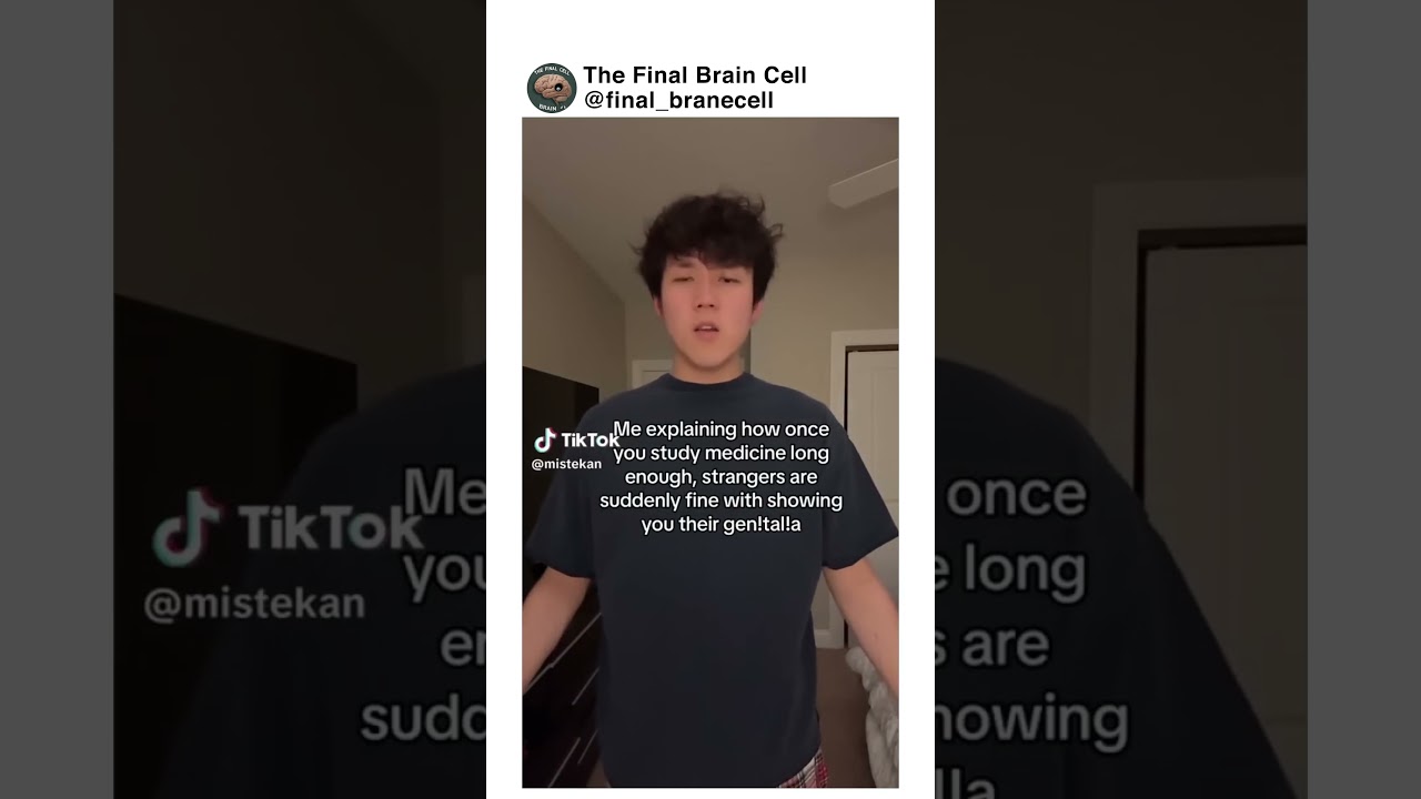 Offensive memes ylyl #37 #shorts #funny #offensivememes #offensivememesylyl #memes  #tiktok