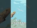 Q.食べられた小さい魚は口から逃げれますか?