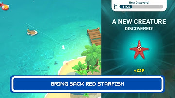 Bring Back Red Starfish - Creatures Of The Deep Part 9