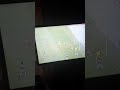 Universitatea Cluj egalată de Aerostar [ 1  1 ]