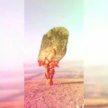 Story wa reog ponorogo