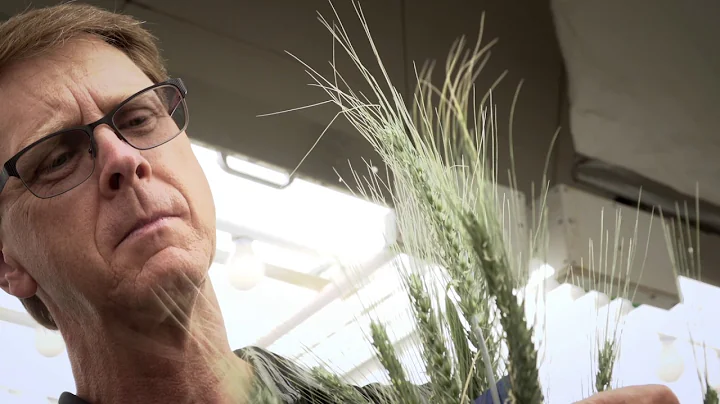 2016 ASTech Award Winner Agriculture: Dr. Robert G...