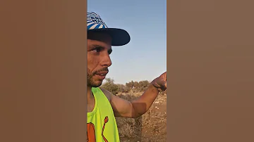 ياربي السلامة عقرب سام اكسبلور Fish Queen Mallu Essaouira Viral Funny Beach Bollywood B 