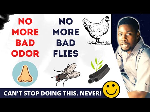 How to Eliminate Odor in Poultry House | Most Effective Odor Control Solution
