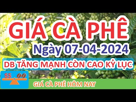 Giá cà phê hôm nay ngày 07/04/2024 