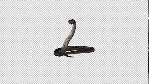 Snake 2 | Motion Graphics - Envato elements