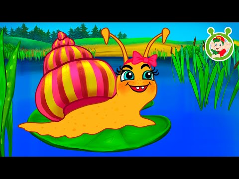 ХВАСТУШКИ ИЗ РАКУШКИ