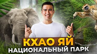 видео: Кхао Яй — сафари, дикие слоны и ночь в джунглях Таиланда картинка: Кхао Яй — сафари, дикие слоны и ночь в джунглях Таиланда