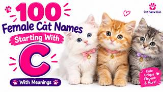 100 Female Cat Names Starting With C 🐱💕 | Cute, Unique Names With Meanings 100 Female Cat Names Starting With C 🐱💕 | Cute, Unique Names With Meanings