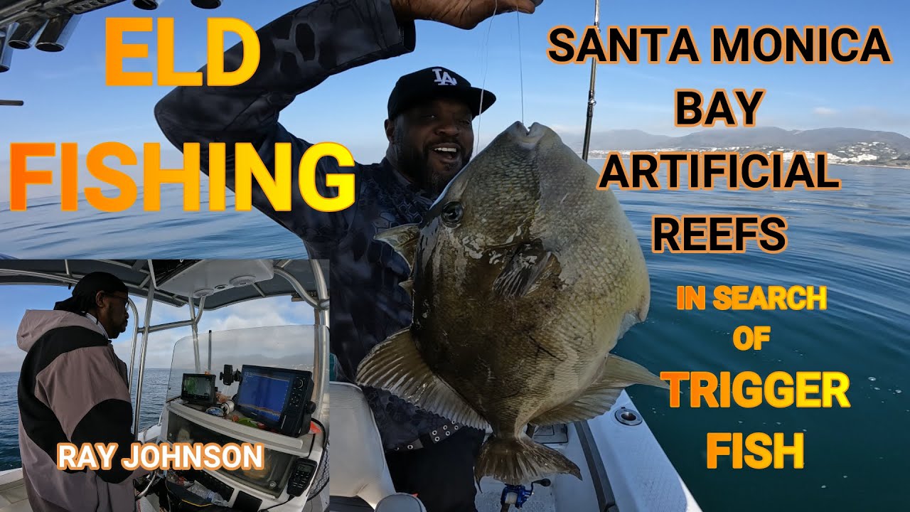 What Fish Can You Catch In Santa Monica Bay