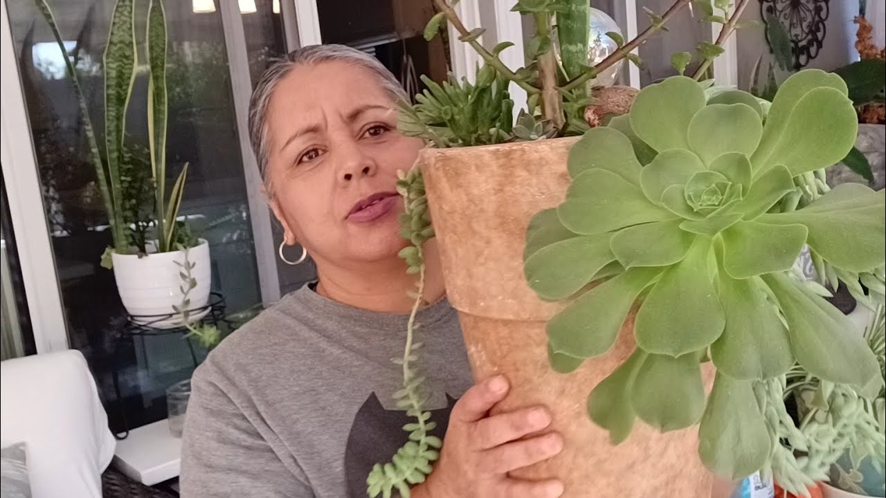 Con muy poco 🤔puedes hacer esto siendo ama de casa te enseño/Alma d Cortez 