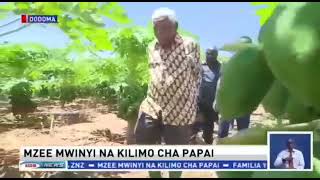 Kilimo cha papai na raisi mstaafu mwinyi Kilimo cha papai na raisi mstaafu mwinyi
