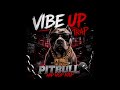 Pitbull 🐶🔥 | HARD Trap Beat | Vibe Up Trap - Hip Hop Rap Anthem