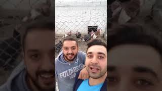 Hindi kalabaligi görünce ne demi #hindi#animals