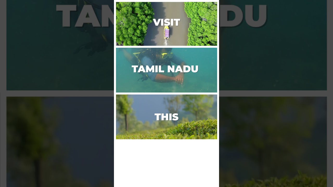 Visit Tamil Nadu this Valentine's Day | Romantic Destination | Tamil Nadu Tourism