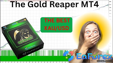 The Gold Reaper MT4 Review + Setting | EA Forex Store
