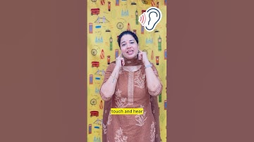 The five senses song!#ytshorts #creativelearners #kids #kidssongs #englishrhymes #youtubeshorts #fun