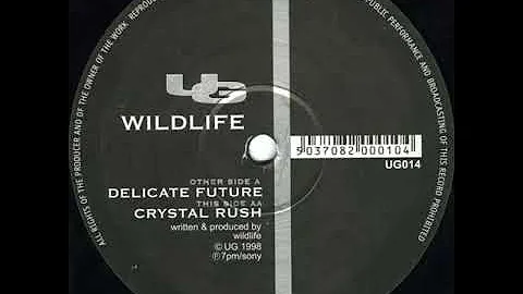 Wildlife- Crystal Rush