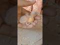 albino red eyes breeding tips #albinoredeyes #breeding #hamzabirds
