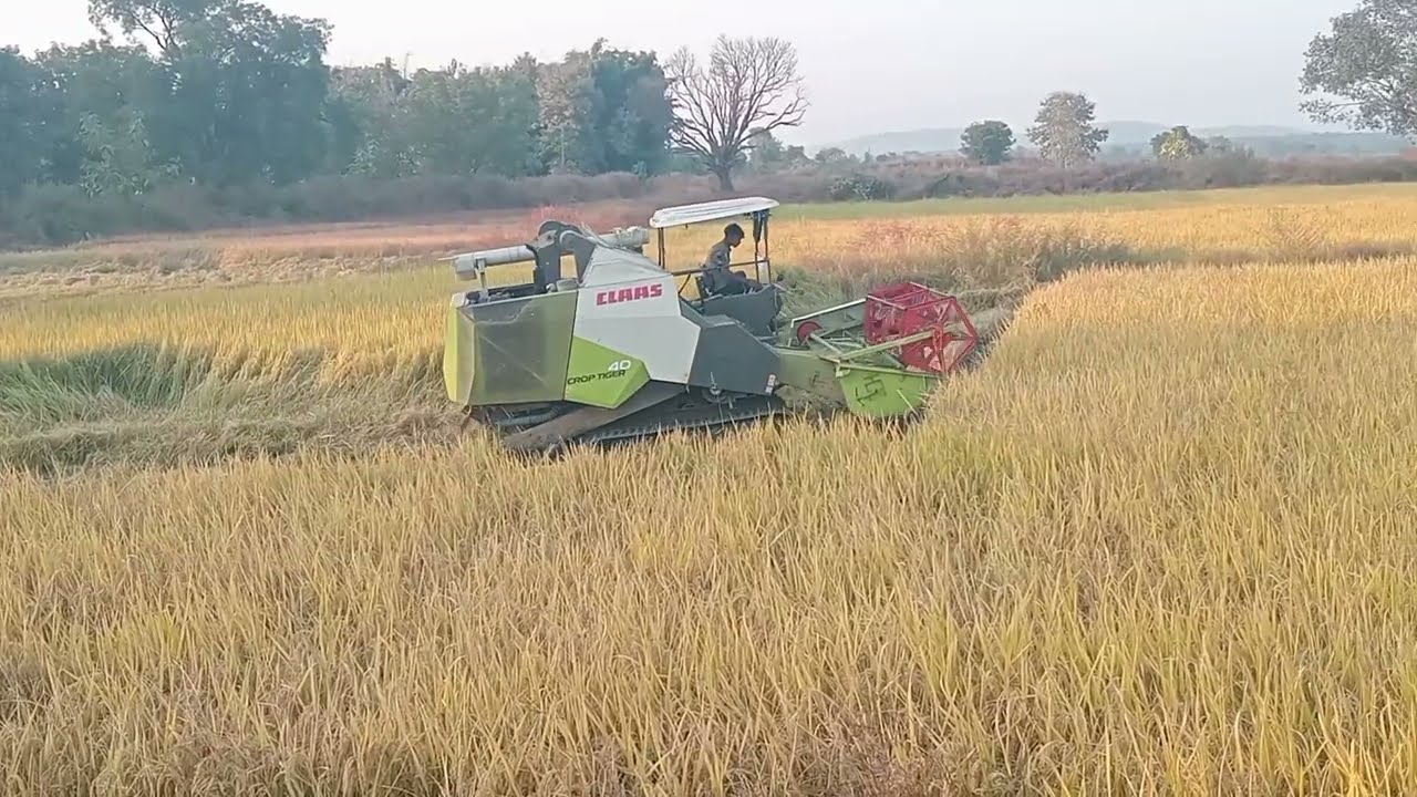 HARVTER COPRT TIGER 40 ✨Kuturma✨