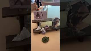 Download Lagu MDZS ❤️💚#modaozushi #mdzs #chenqingling #theuntamed #wangxian #china #ytshorts #weiwuxian #lanzhan MP3