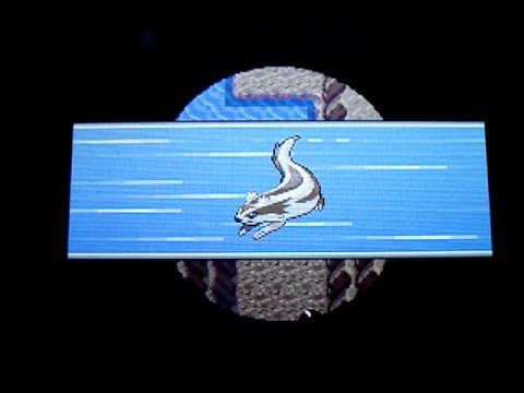 HOW TO GET THROUGH VICTORY ROAD ON POKEMON SAPPHIRE/RUBY