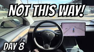 Tesla FSD v14.3 Lite Goes The Wrong Way in a Parking Lot! (POV)