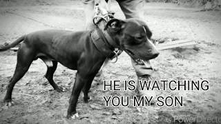 Thompsons Kennel The Rise Of El Pablo Aka Hustleboy