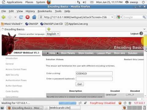 WEBGOAT V5.3 - ENCONDING_BASICS.avi