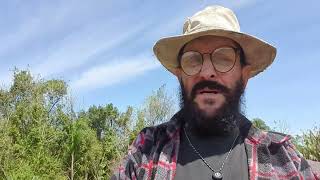 De Volta A Cabana Da Montanha Depois De 4 Meses