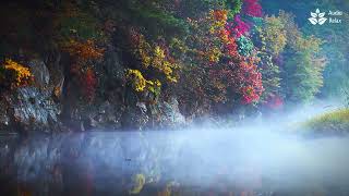 Foggy river sounds, white noise for sleeping, relaxing nature 10 hours