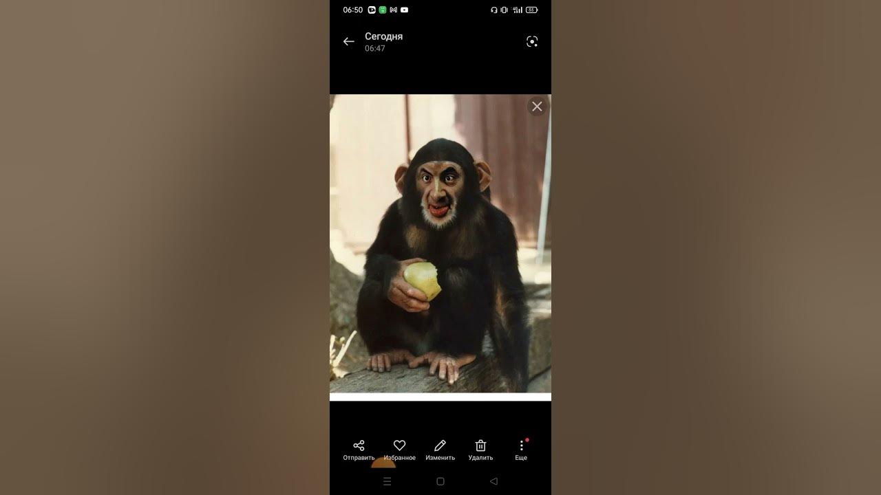 смешные обезянки - YouTube
