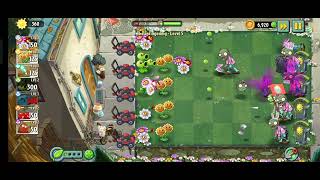 Dazey Chain attack the zombi
