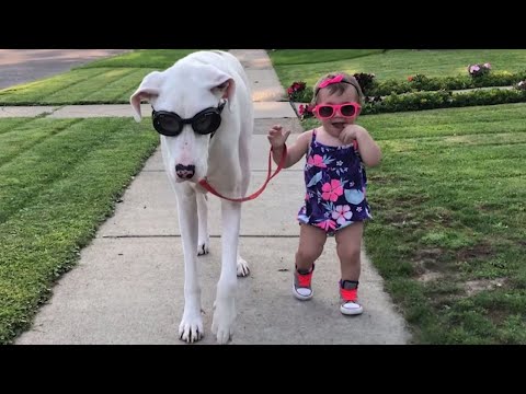 Toddler and Deaf Great Dane Share an Adorable Friendship