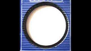 Ronny & The Daytonas - G.T.O.    (1964)