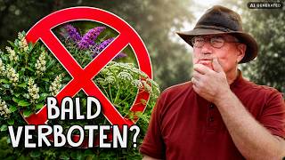 Diese beliebten Gartenpflanzen stehen aktuell massiv in der Kritik