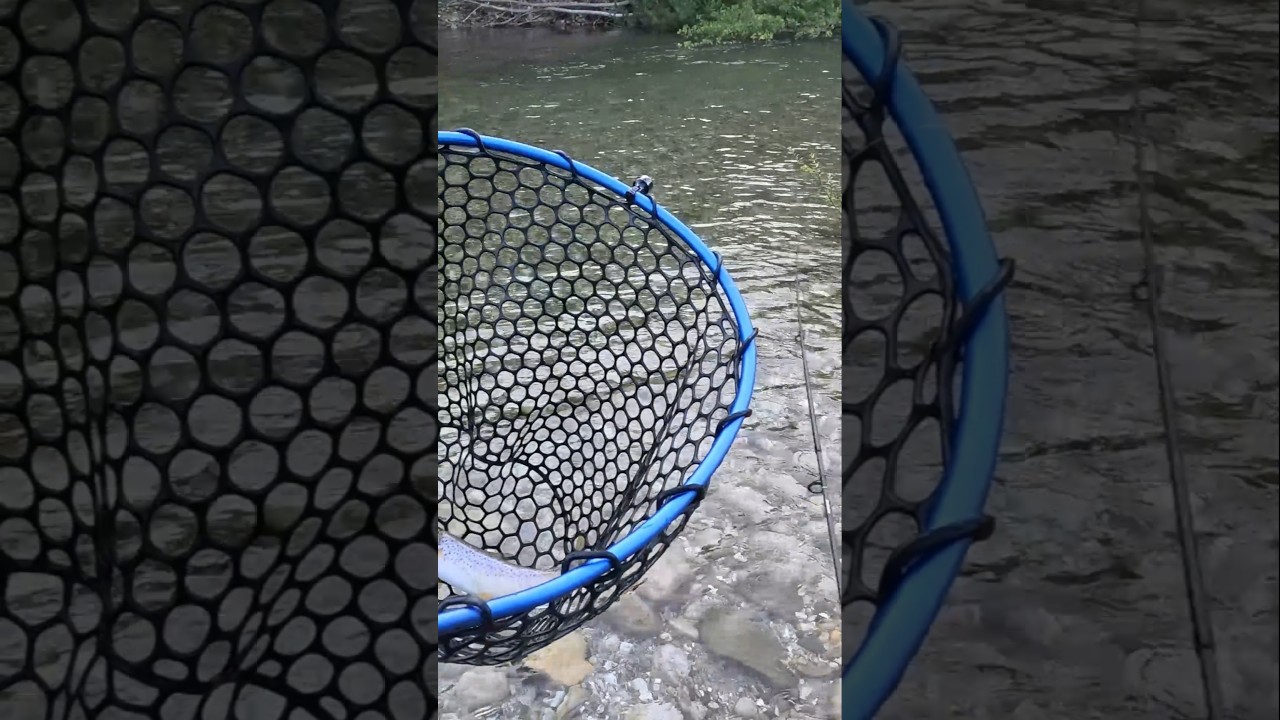 ψάρεμα Πέστροφας #onlytroutfishing #ψάρεμαπέστροφασ #catchandrelease