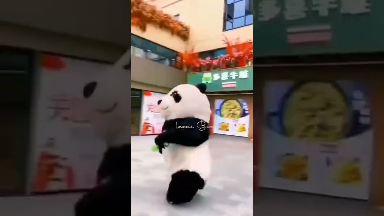 Funny Cute Panda 
