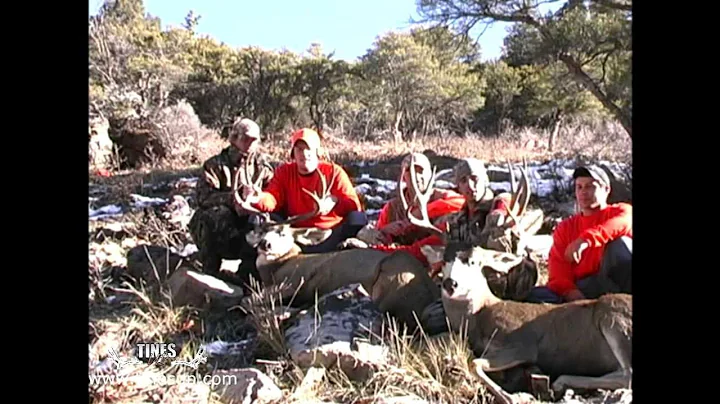 Double Whammy Deer Hunt- Mule Deer Hunting- 1, 2, 3 Boom! Two Bucks Down, Tines Up